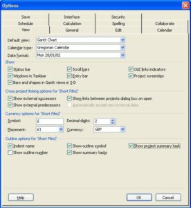 Show the project summary task