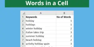 Count the Number of Words in a Cell