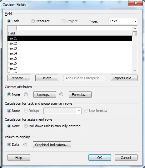 Custom Fields Dialog Box in MS Project