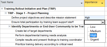 Custom field with drop down list in MS Project