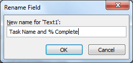 Rename the custom text field