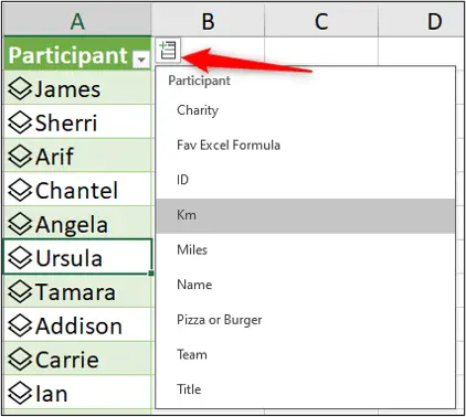 Add a column from the data type to the worksheet