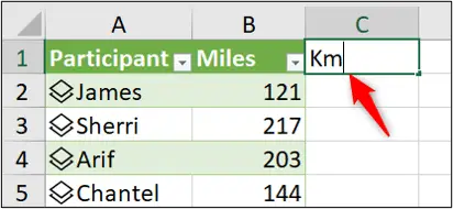 Adding the kilometres column to the worksheet