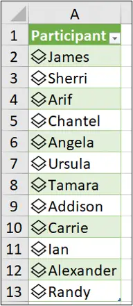 Custom data type loaded to the worksheet