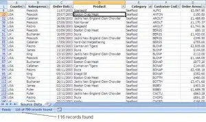 Count records with Filter in Excel