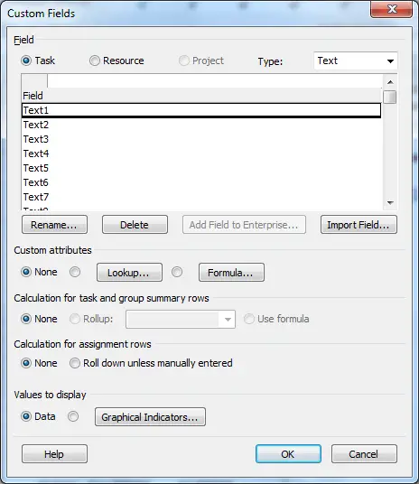 Text fields in the Custom Fields dialog window