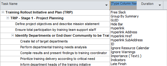 Inserting a column in MS Project