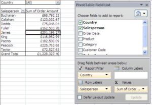PivotTable with report filter applied