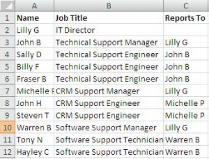 Sample Excel data for an organisation chart