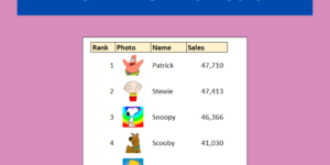 Excel IMAGE Function - Insert Images from a Cell Value