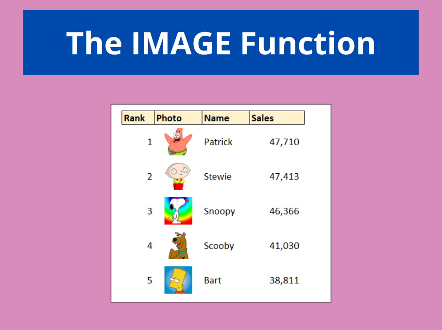 IMAGE function in Excel