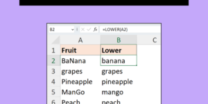 Excel LOWER Function